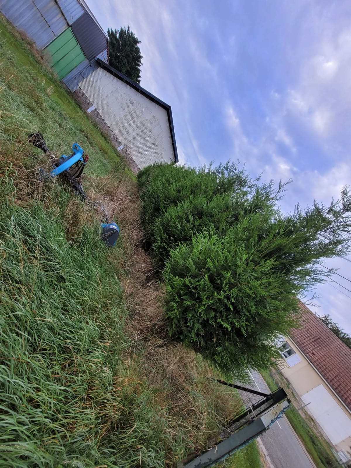 Évacuation de déchets verts